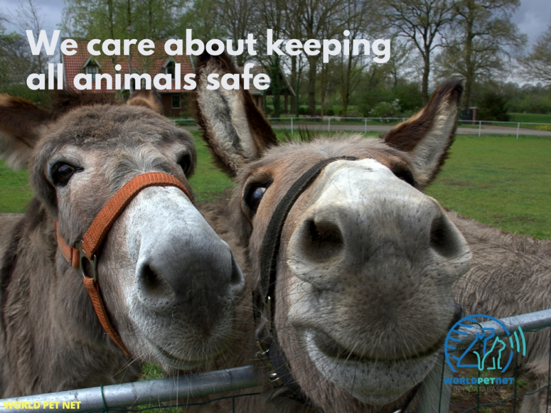 the national pet register