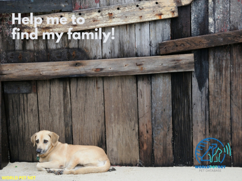 the national pet register